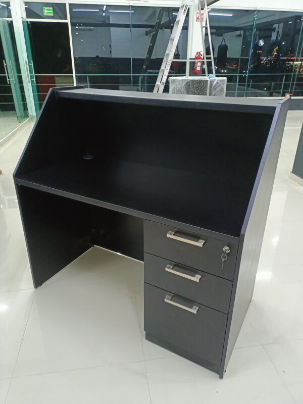 RECEPCIÓN BASIC - Image 2