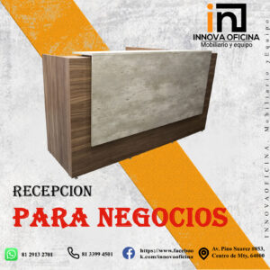 RECEPCIÓN PARA NEGOCIOS